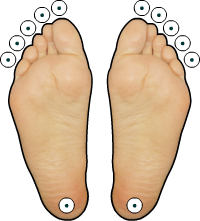 12 Chakren Bahnen: Fe