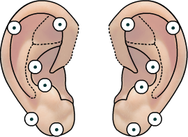 12 Chakren Bahnen: Ohren